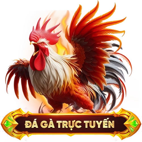 đá gà trực tuyến DOLA789